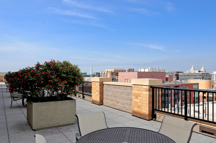 See What the Modern Whitman Penthouses and Luxury Condos Have to Offer