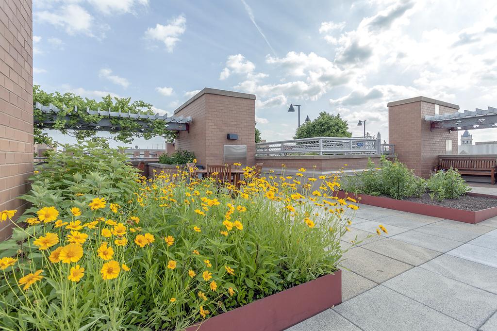 Lafayette Luxury Condos and Penthouses For Sale and Neighborhood Information